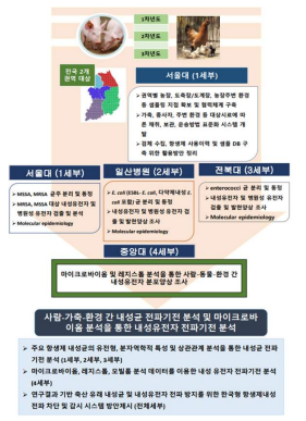 연구 개발 추진 체계 모식도