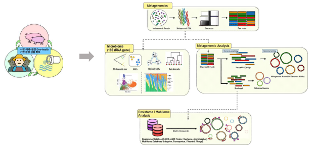 마이크로바이옴 및 레지스톰/모빌롬 분석 방법 모식도