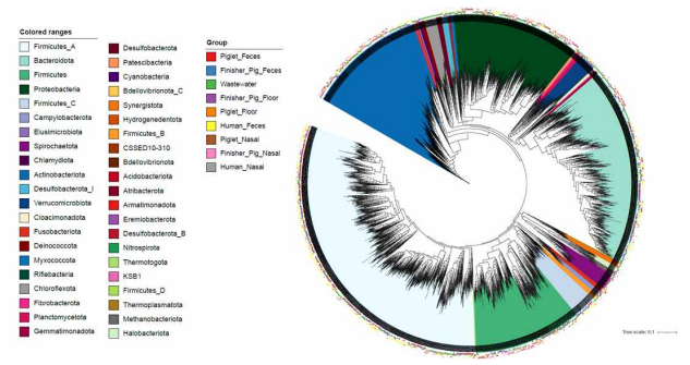 국내 양돈 농가 샘플로부터 확보한 Metagenome-assembled genome (MAG)tree