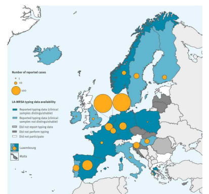 유럽 주요 국가에서의 양돈 분야 MRSA 발생현황