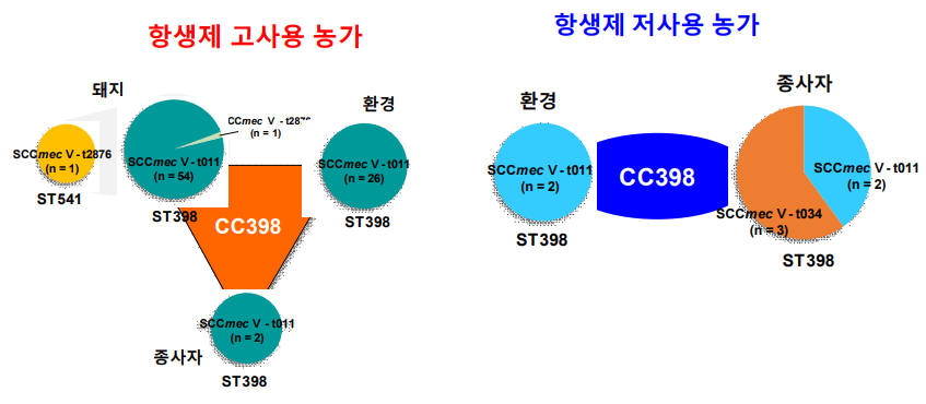 2차년도 항생제 고사용 및 저사용 농가 유래 MRSA의 유전형