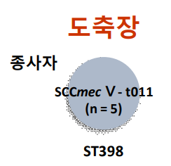 2차년도 도축장 유래 MRSA 유전형