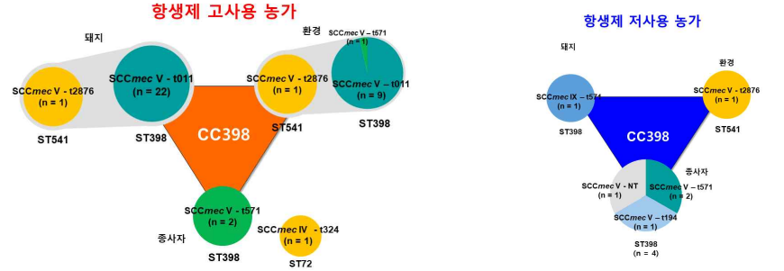 3차년도 항생제 고사용 및 저사용 농가 유래 MRSA의 유전형