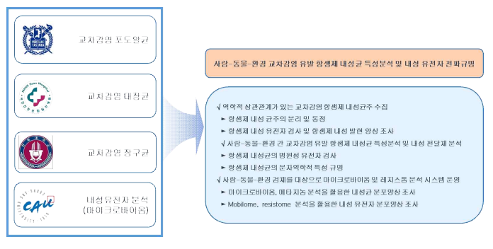 연구개발 모식도