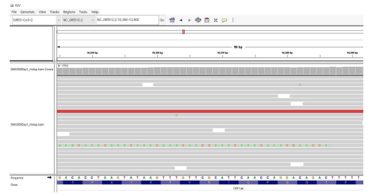 nirmatrelvir/ritonavir 복용후 변이 여부 발생에 대한 WGS 분석 IGV screen shot