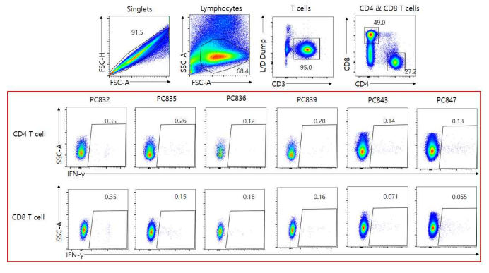 Passive immunization 전후 수집한 PBMC의 ICS