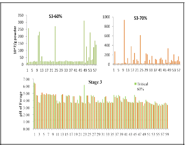 Growth profiles and pH in triticale stage 2 at different moistures