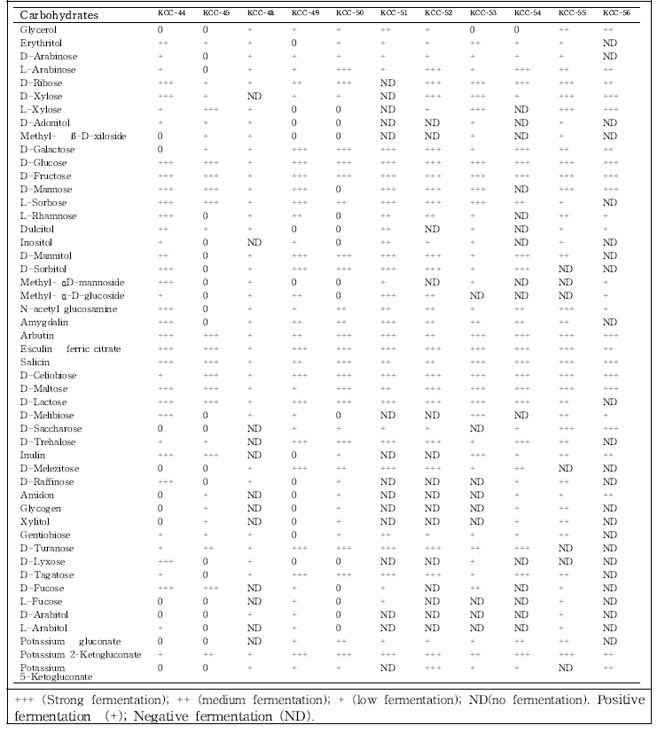 Ferment of different carbohydrate substrates by isolated LAB in-vitro