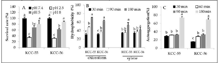 Probiotic characteristics of isolated strains L. lactis KCC-55 and L. lactis-KCC-56. (A) Survival of isolates in GIT conditions, (B) Hydrophobicity, (C) Auto-aggregation property of isolates. Data were represented as mean ± SEM of three replicates. a,b,c p < 0.05 alphabets between bars represent significance between the pathogens