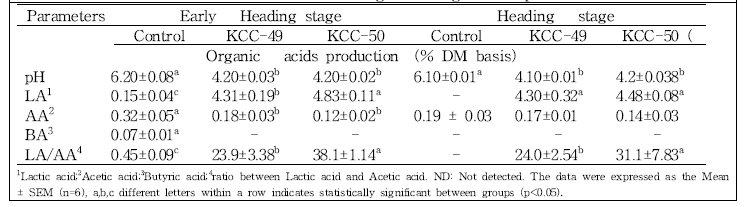 Fermentative metabolites in different stages of silages in response to LAB treatment