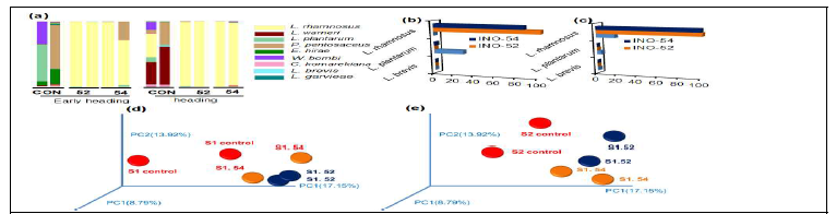 Relative abundances of bacterial community dynamics at the species level and Principal coordinate analysis. a) relative abundance of bacterial ecology at species level in control (CON) and inoculants L. rhamnosus-KCC-49 and L. rhamnosus-KCC-50 applied silages; b) Differences in L. rhamnosus, L. plantarum and L. brevis in control and inoculant treated silages of triticale at early heading (b) and heading (c) stages; Principal coordinate analysis plots for bacteria from early heading (d) and heading (e) stages of triticale ensiled with inoculant or without an inoculant (CON) and opened at 180d of fermentation. Red circles indicate control replicates; Navy circles indicates INO-52 replicates; Orange circles indicate INO-54 replicates; S1- early heading stage of triticale; S2- heading stage of triticale.