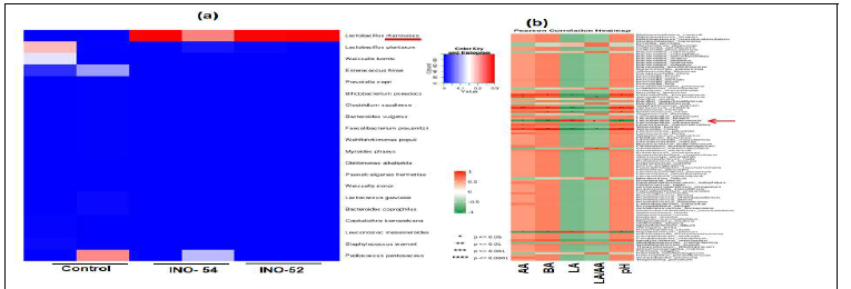 Spearman correlation heat map of bacterial dynamics at species and fermentative metabolites of early heading stages triticale silage at 180d. a) Correlation analysis bacteria at species level between Inoculated and non-inoculated silages; b) Correlation analysis between bacteria community at the species level and fermentative metabolites. AA - acetic acid; BA- Butyric acid; LA- Lactic acid; LA/AA- lactic acid and acetic acid ratio, %DM; *p < 0.05; **p < 0.01; ***p < 0.001.