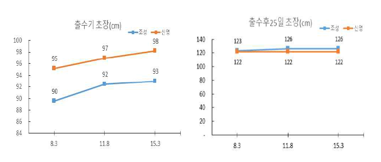 시비량에 따른 트리티케일 초장