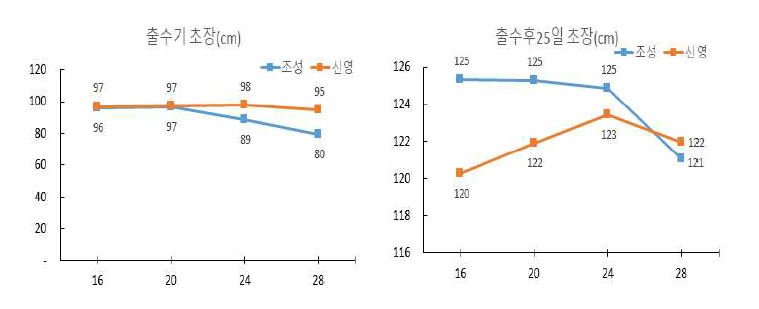 파종량에 따른 트리티케일 초장