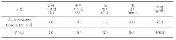 E. americana GSMHB22 처리에 따른 느티만가닥버섯 생육특성