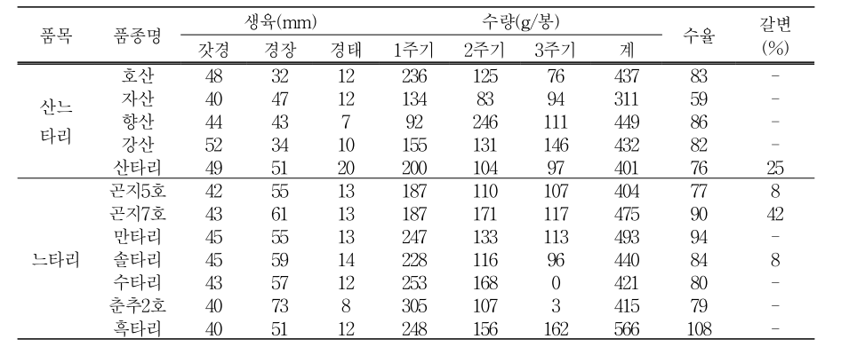 느타리버섯류 생육 및 수량(1.5kg 봉지)