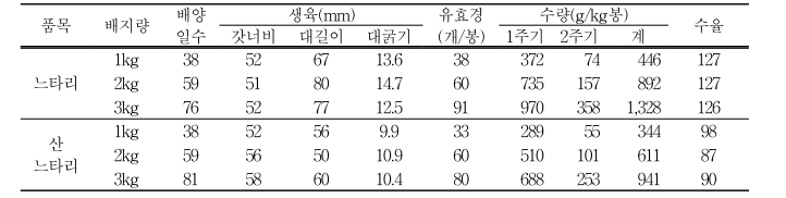 살균배지 봉지재배시 배지량에 따른 버섯 생산성