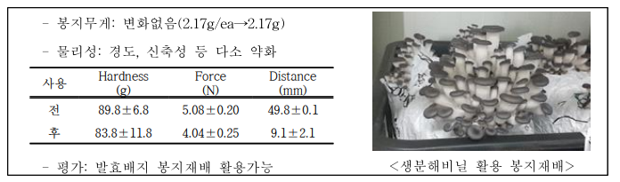 생분해비닐 활용 봉지재배 결과