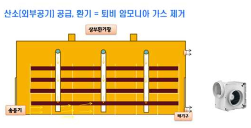 후발효 기간중 환기와 암모니아가스 배출의 적정방법 ⁕ 재배사의 용적 : 가로(6)×세로(22)×높이(4.5) =594㎥