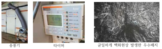 양송이 퇴비 암모니아가스농도 제거용 환기 장치와 그 효과