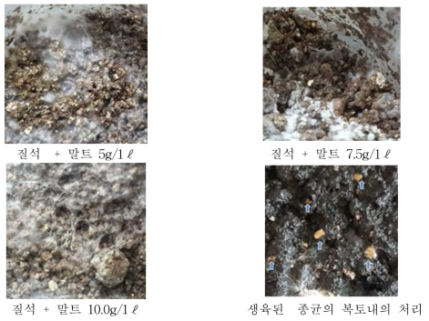 질석을 활용한 복토종균의 첨가제 농도별 종균과 퇴비배지에서의 균사생장 비교