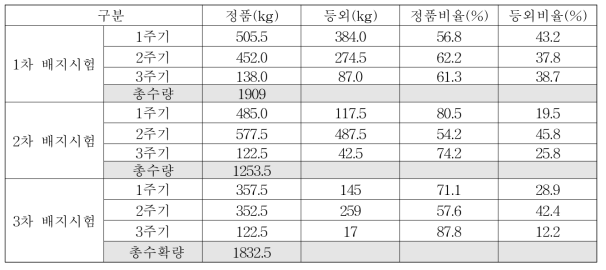 완성형배지 제조를 위한 살균후발효 시험 주기별 수확량 및 품질 비율