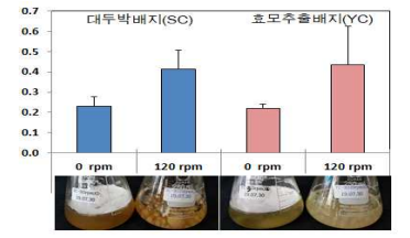 배지별 정치와 진탕배양시 균체량 비교