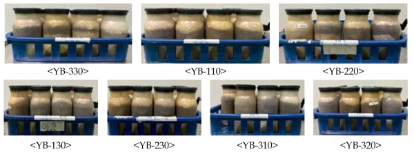 큰느타리 YB배지 혼합비율별 배양력 테스트