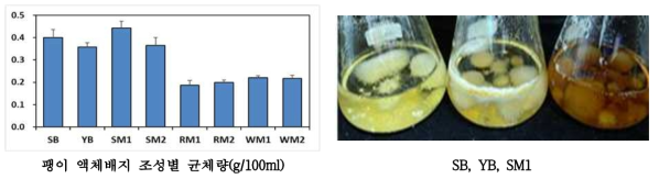 팽이 액체배지 조성별 균체량 및 균형태 비교
