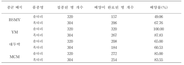 느타리 선발 액체종균을 이용한 병재배 시 14일차 배양률