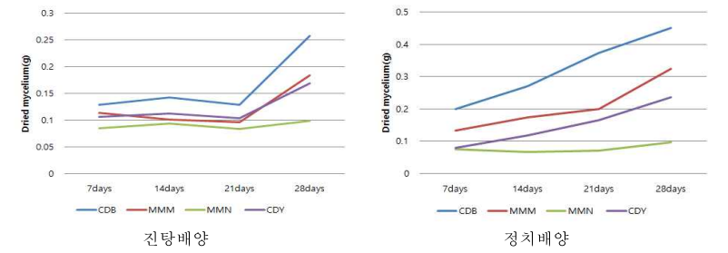 배지조건별 균사생장기간 동안 균체량의 변화