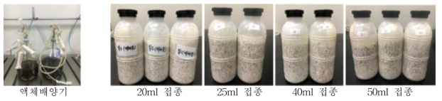 공기 주입 액체배양기(좌), 액체 접종원의 접종량에 따른 배양도(우)