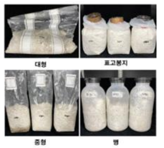 상압살균(90℃) 6시간 살균 후 종균