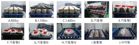 버섯 재배 용기형태 및 규격별 균사배양 모습