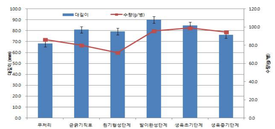 병재배 생육단계별 고깔처리에 따른 자실체 특성