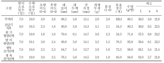 만가닥버섯 병재배 단계별 고깔처리에 따른 생육특성