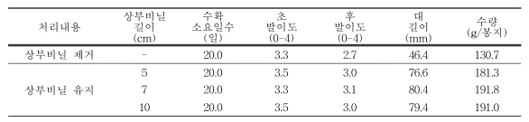 느티만가닥버섯 봉지배지 농가실증 시험에 따른 생육특성