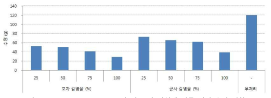 P. brevicompactum 균사 및 포자 감염에 따른 버섯 수량 변화