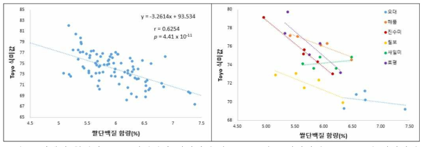 단백질 함량과 Toyo 식미값간 상관관계(좌: 6품종 평균 상관관계, 우: 품종별 상관관계)