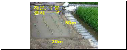 논 (여름: 담수, 겨울: 비담수),지온·수분센서 설치