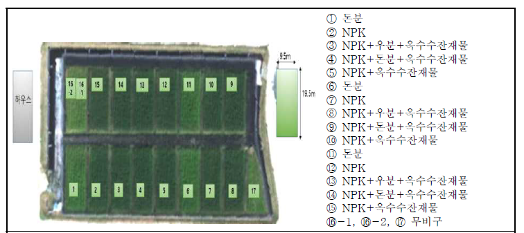 옥수수 재배 시험구 배치도