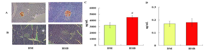 췌장의 조직학적 검사(A: 인슐린, B: H & E) 및 혈청의 아디포넥틴(C)과 인슐린 (D) 함량. 200배율 현미경 촬영. 실험결과는 평균±표준오차로 표기하였으며, 대조군과 비 교시 #p＜0.05로 표기하였음.