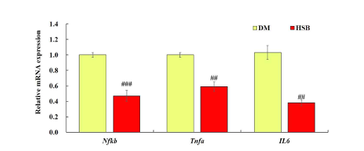간조직의 염증 관련 유전자 발현. 실험결과는 평균±표준오차로 표기하였으 며, 대조군과 비교시 ##p＜0.01, ###p＜0.001로 표기하였음.