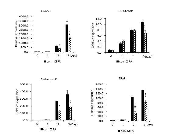 파골세포 분화에 관련된 유전자의 mRNA 발현에 미치는 FA 영향 (*:control 그룹과 대조)