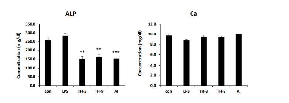 마우스 혈청에서 ALP와 Ca 양을 측정 (*: LPS 그룹과 대조)