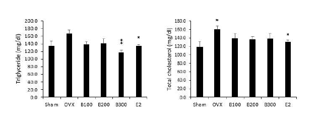 각 대조군 간의 혈중 지질 수준 측정 (#: Sham 대조군과 대조, *: OVX 대조군과 대조)