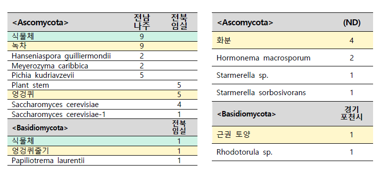 그 외 분리원 유래 효모의 염기서열 분석 및 동정