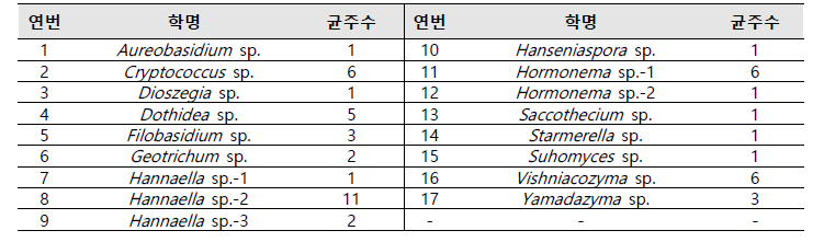 신종 후보 효모 목록 및 균주 수