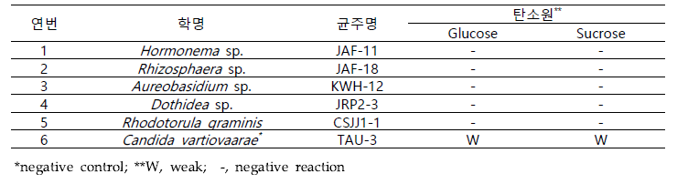 선발 효모의 CO2 생성능