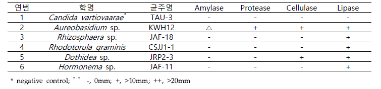 선발 효모의 효소 분비 특성